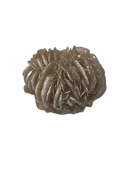 Desert Rose Selenite