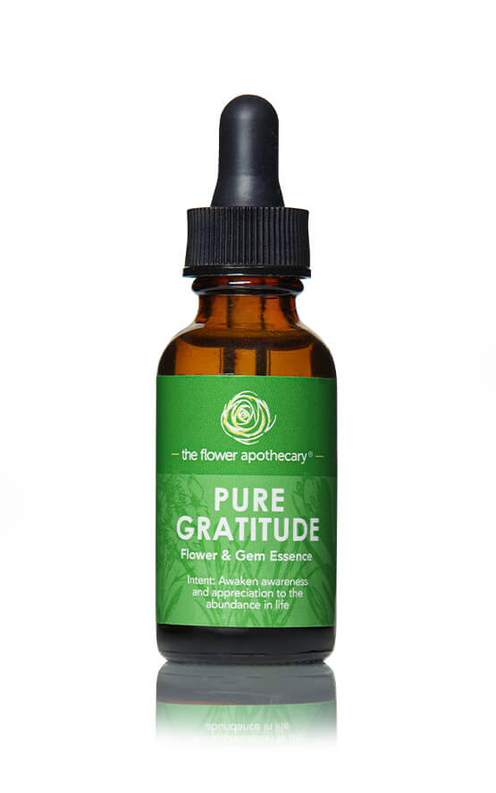 Gratitude