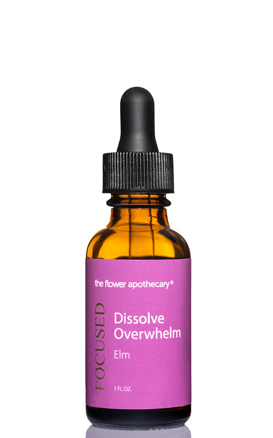 Elm Flower Essence