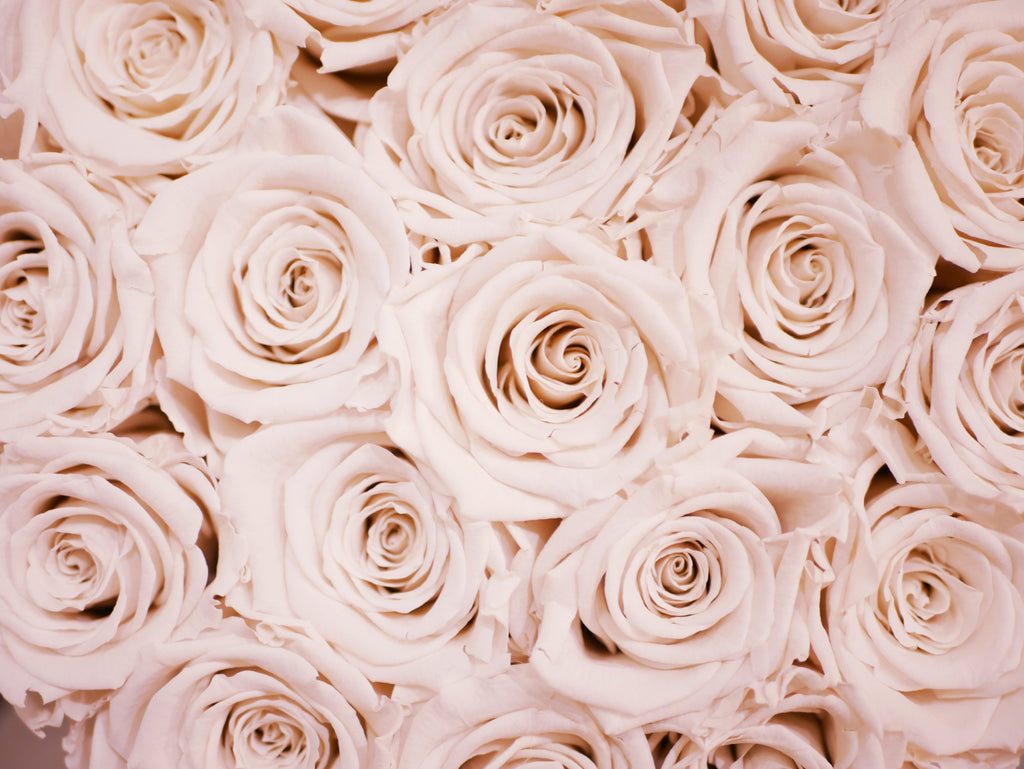 Premium Quicksand Rose
