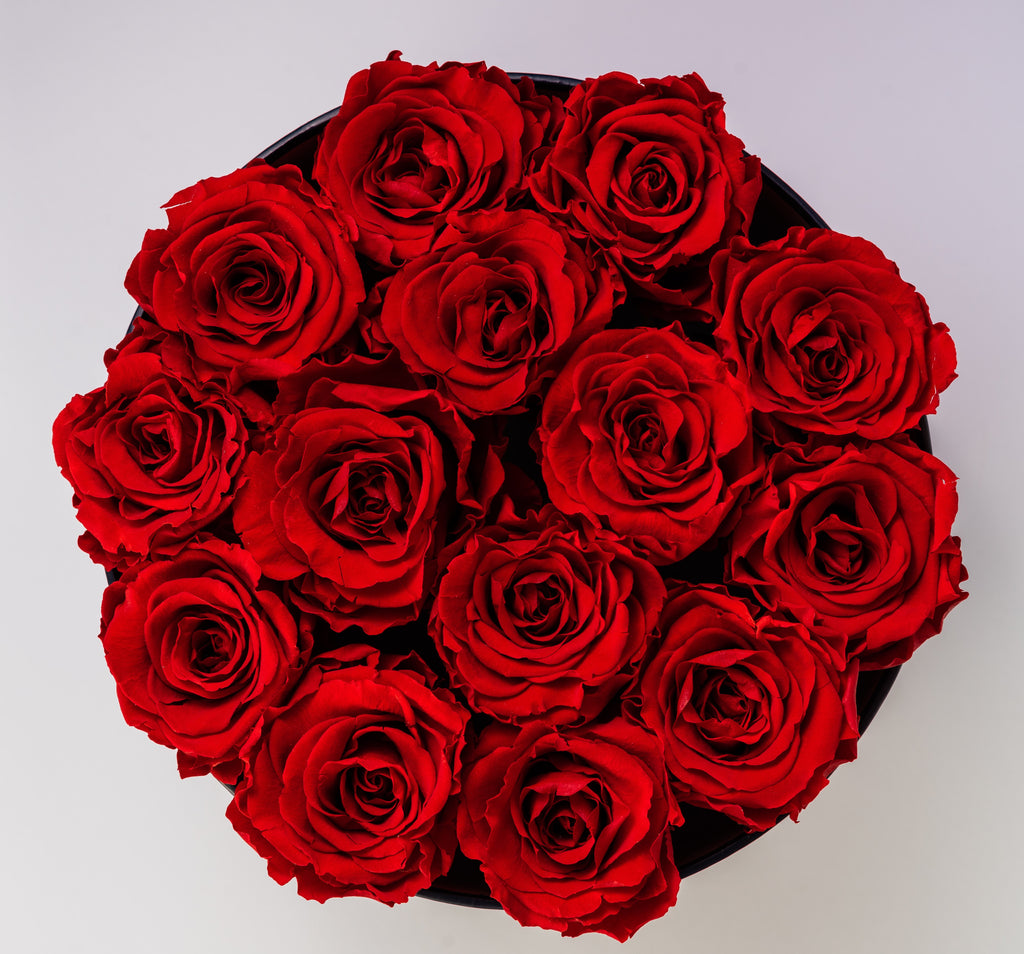 Premium Red Roses